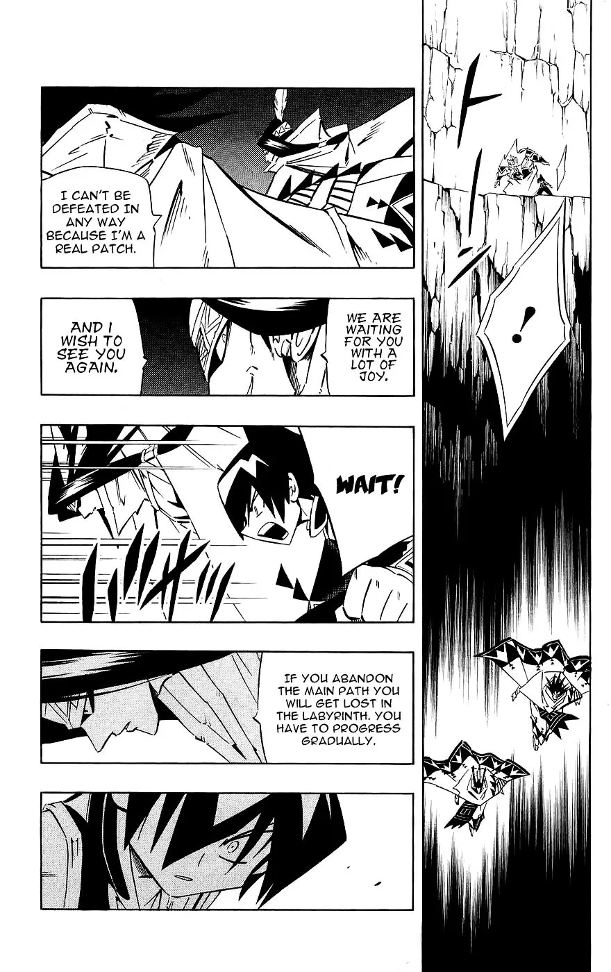 Shaman King Chapter 266 page 17 - MangaKakalot