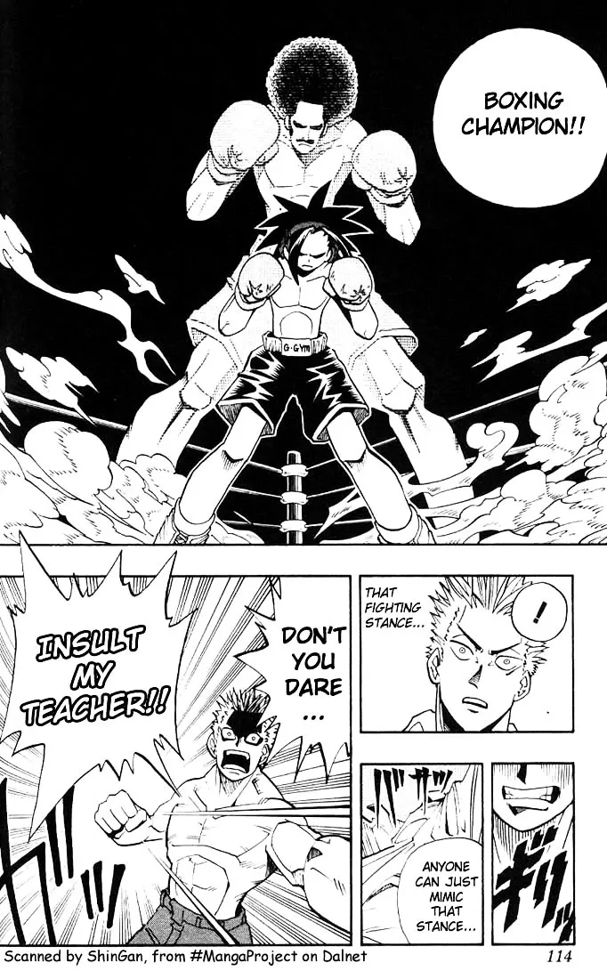 Shaman King - Page 13