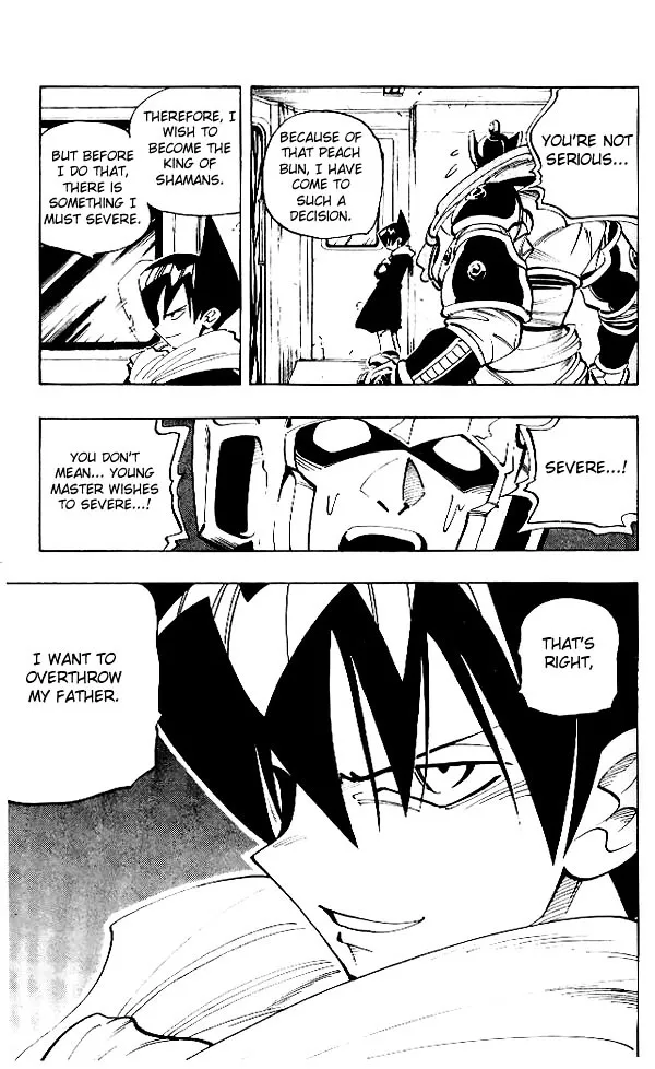 Shaman King - Page 17