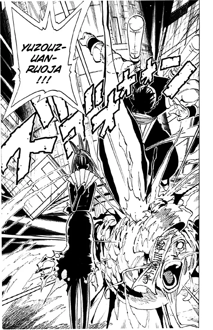 Shaman King - Page 16