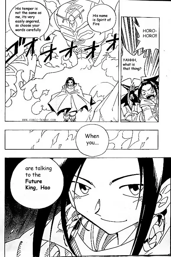 Shaman King - Page 13