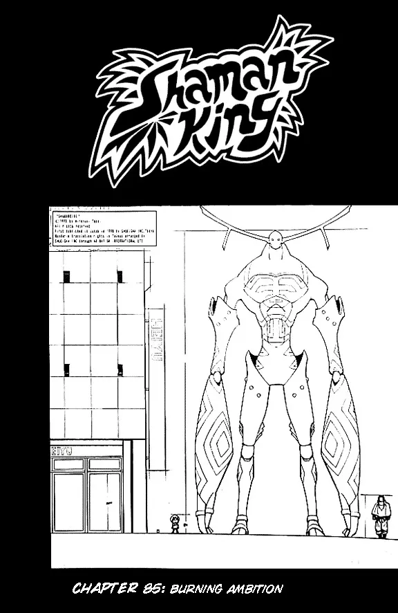 Shaman King - Page 3