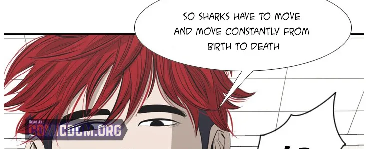 Shark Chapter 135 page 55 - MangaKakalot