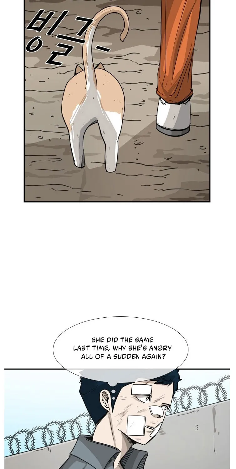 Shark - Page 15