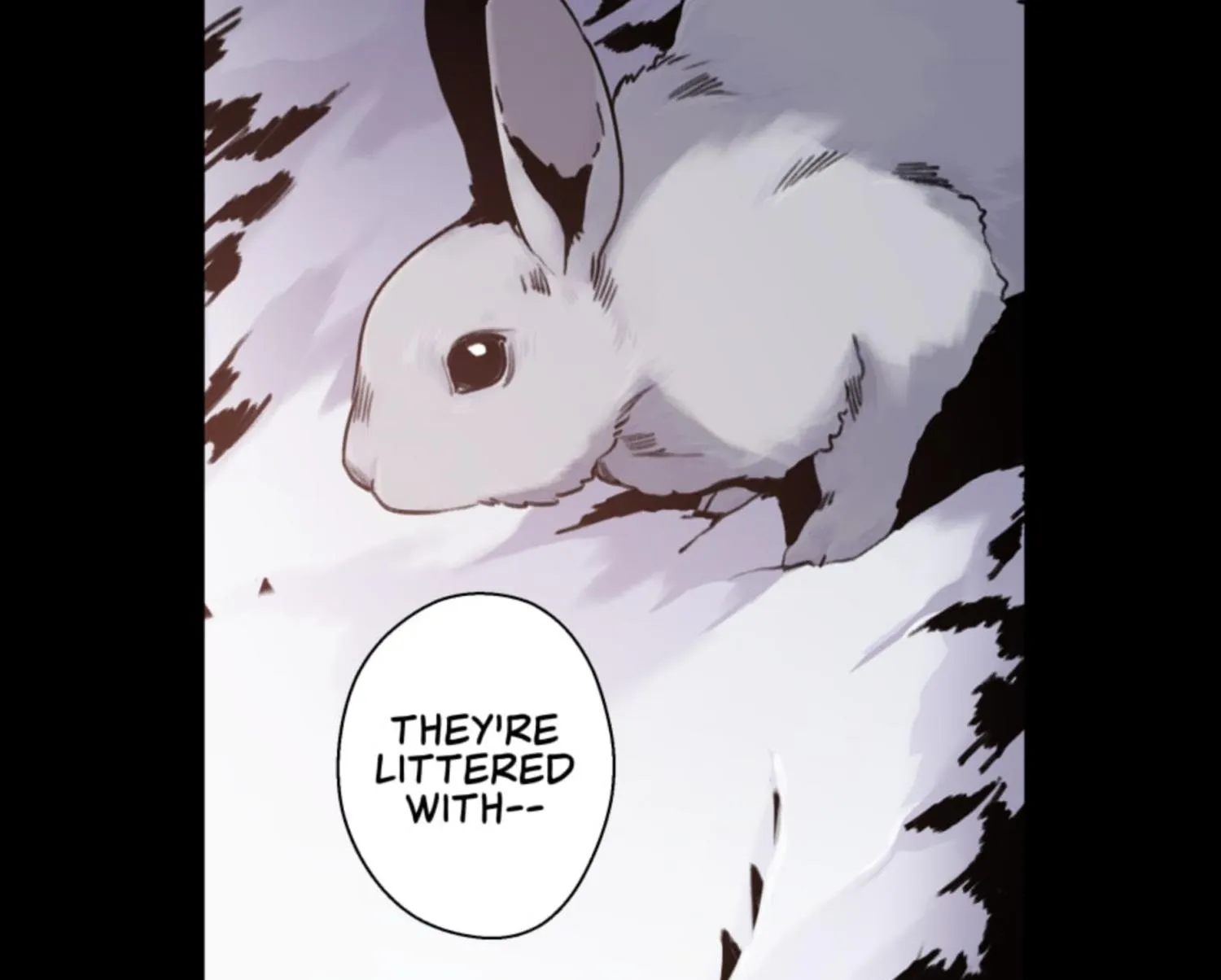 Sharpe And Rabbit Chapter 36 page 13 - MangaNato