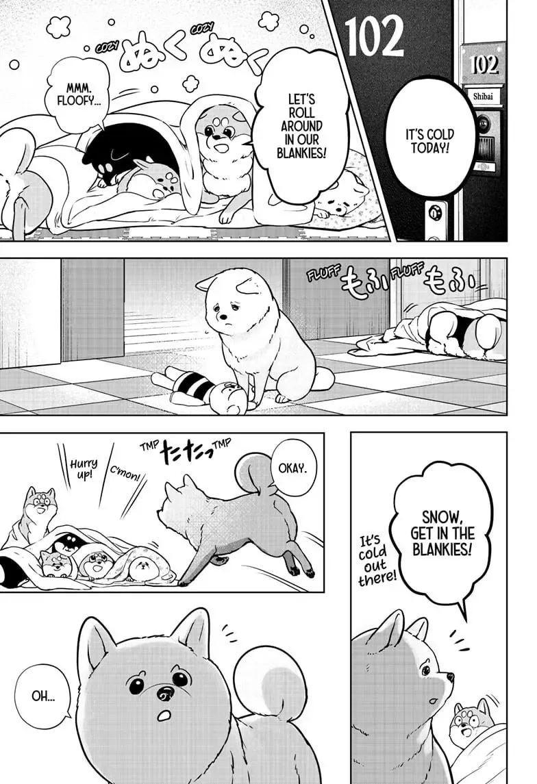 Shiba Inu Rooms - Page 19