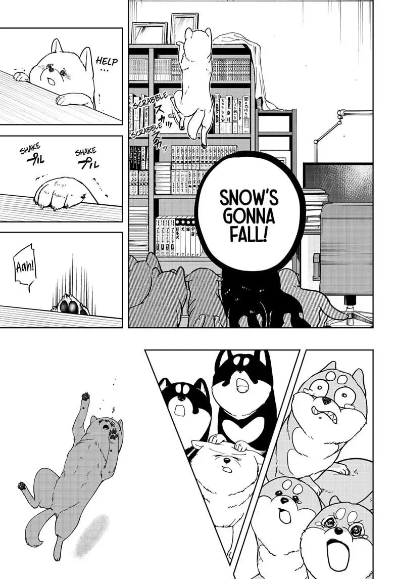 Shiba Inu Rooms - Page 23