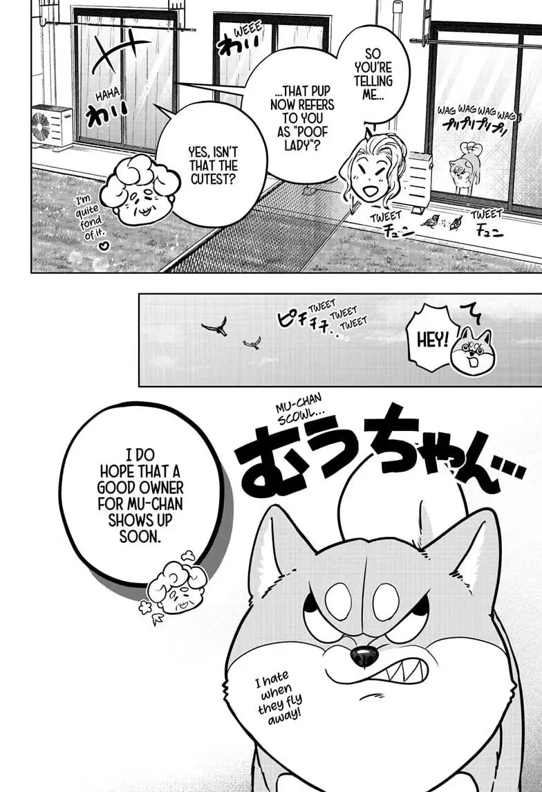 Shiba Inu Rooms - Page 10