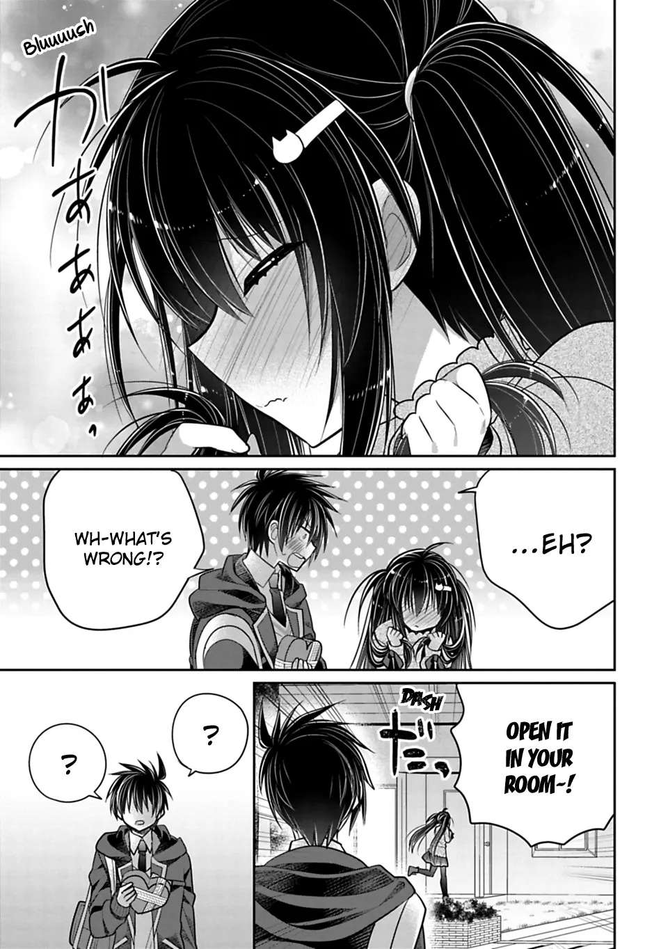 Siscon Ani To Brocon Imouto Ga Shoujiki Ni Nattara - Page 10