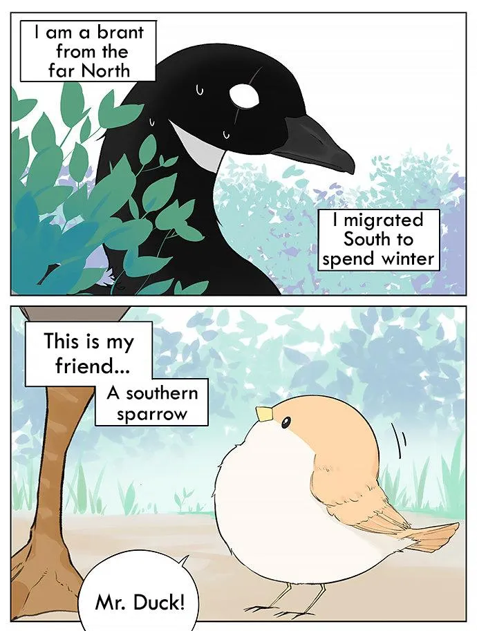 Southern Bird and Northern Bird Chapter 31 page 1 - MangaNato