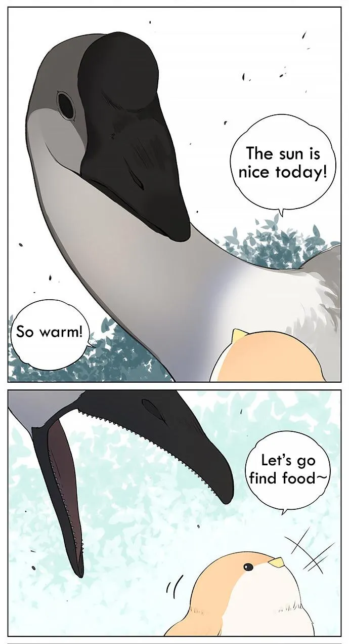 Southern Bird and Northern Bird Chapter 31 page 4 - MangaNato