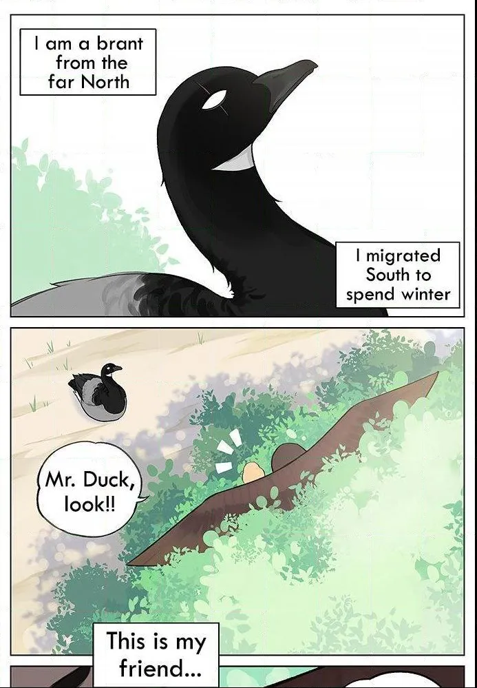 Southern Bird and Northern Bird Chapter 34 page 1 - MangaNato