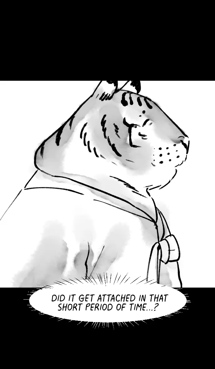 Tale Of The Tiger’S Bride Chapter 2 page 28 - MangaKakalot