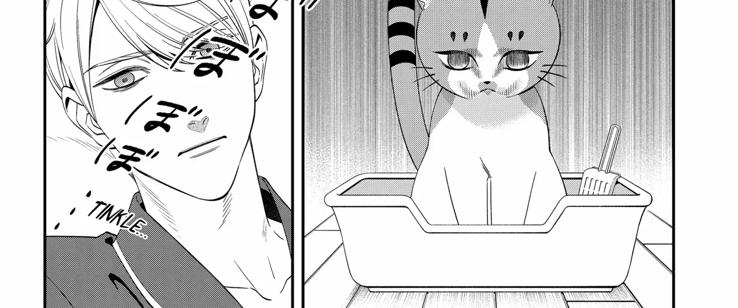 Taro Miyao Becomes a Cat Parent?! «Official» - Page 40