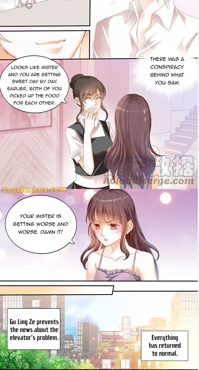 The Beautiful Wife Of The Whirlwind Marriage Chapter 139 page 3 - MangaKakalot