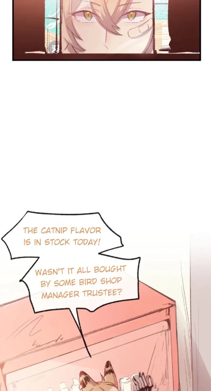 The cat is nipping catnips Chapter 1 page 61 - MangaKakalot