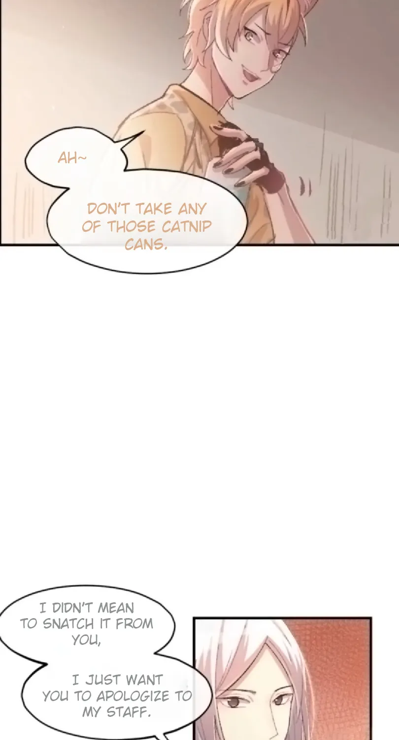 The cat is nipping catnips Chapter 1 page 71 - MangaKakalot