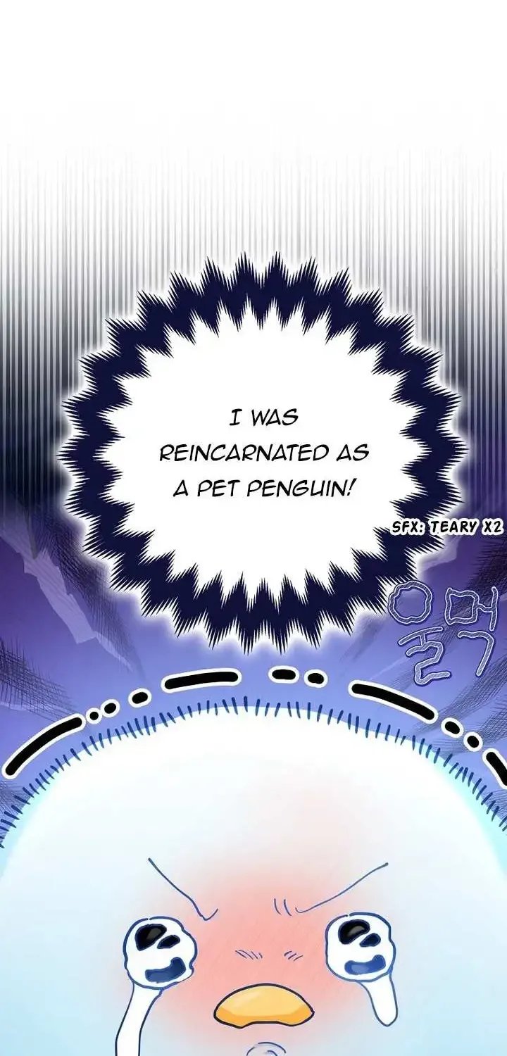 The Crazy Killer Whale’s Favourite Penguin Chapter 1 page 48 - MangaNato