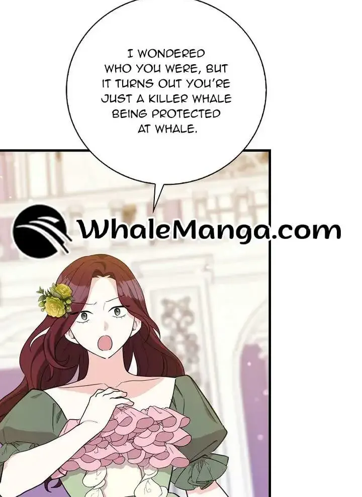 The Crazy Killer Whale’s Favourite Penguin Chapter 25 page 3 - MangaNato