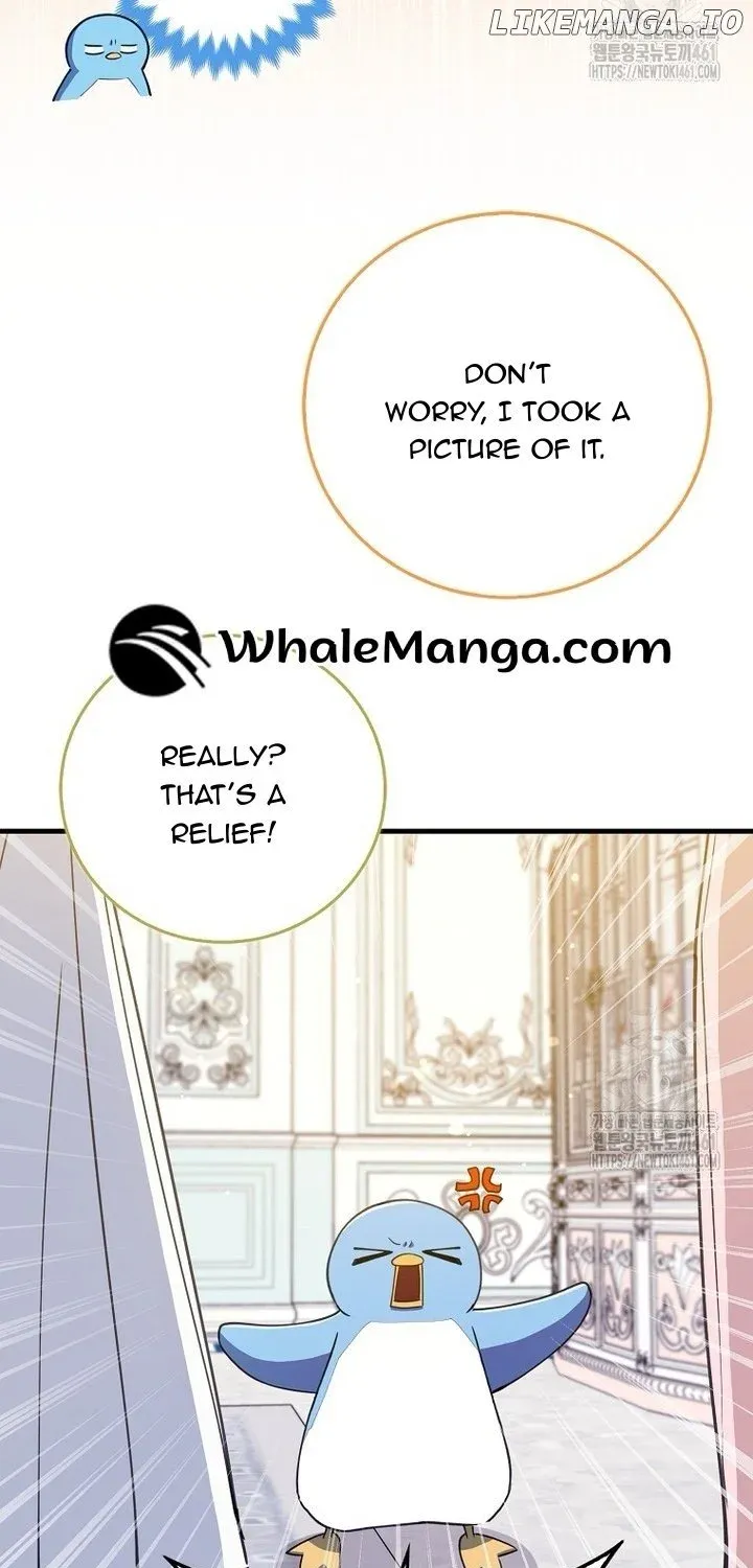 The Crazy Killer Whale’s Favourite Penguin Chapter 26 page 16 - MangaNato