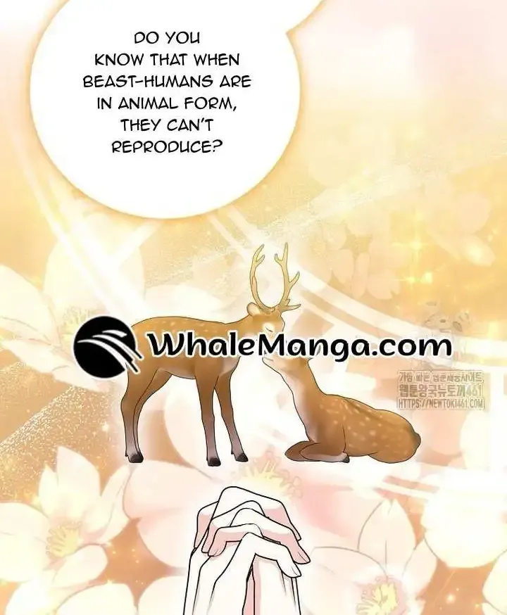 The Crazy Killer Whale’s Favourite Penguin Chapter 26 page 52 - MangaNato