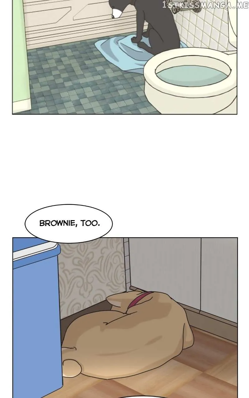 The Dog Diaries Chapter 101 page 54 - MangaKakalot