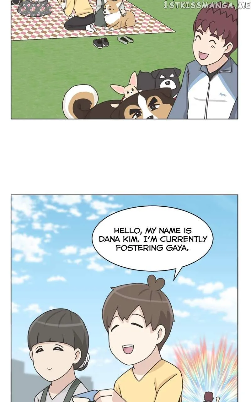 The Dog Diaries Chapter 113 page 13 - MangaKakalot