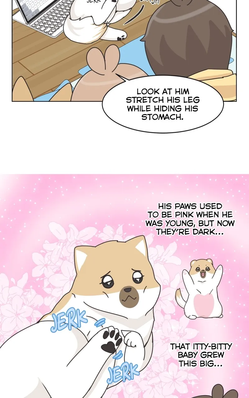 The Dog Diaries Chapter 119 page 23 - MangaKakalot