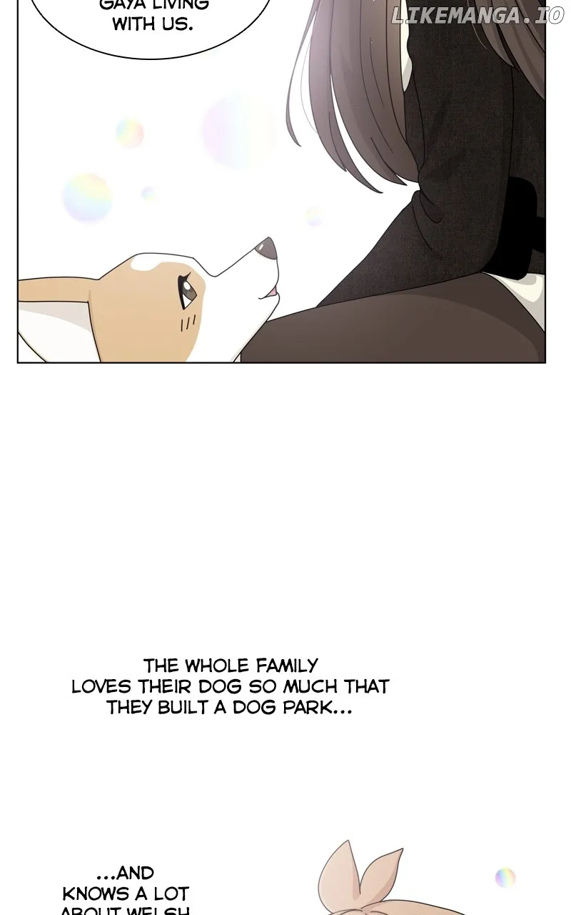 The Dog Diaries Chapter 137 page 11 - MangaKakalot