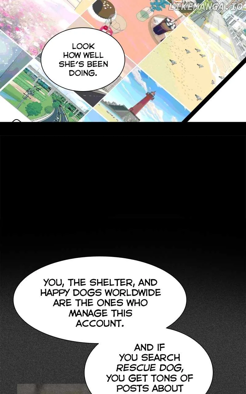 The Dog Diaries Chapter 137 page 30 - MangaKakalot