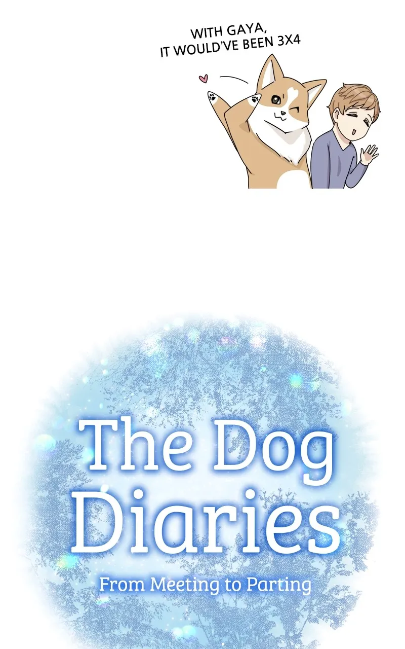 The Dog Diaries Chapter 144 page 17 - MangaKakalot