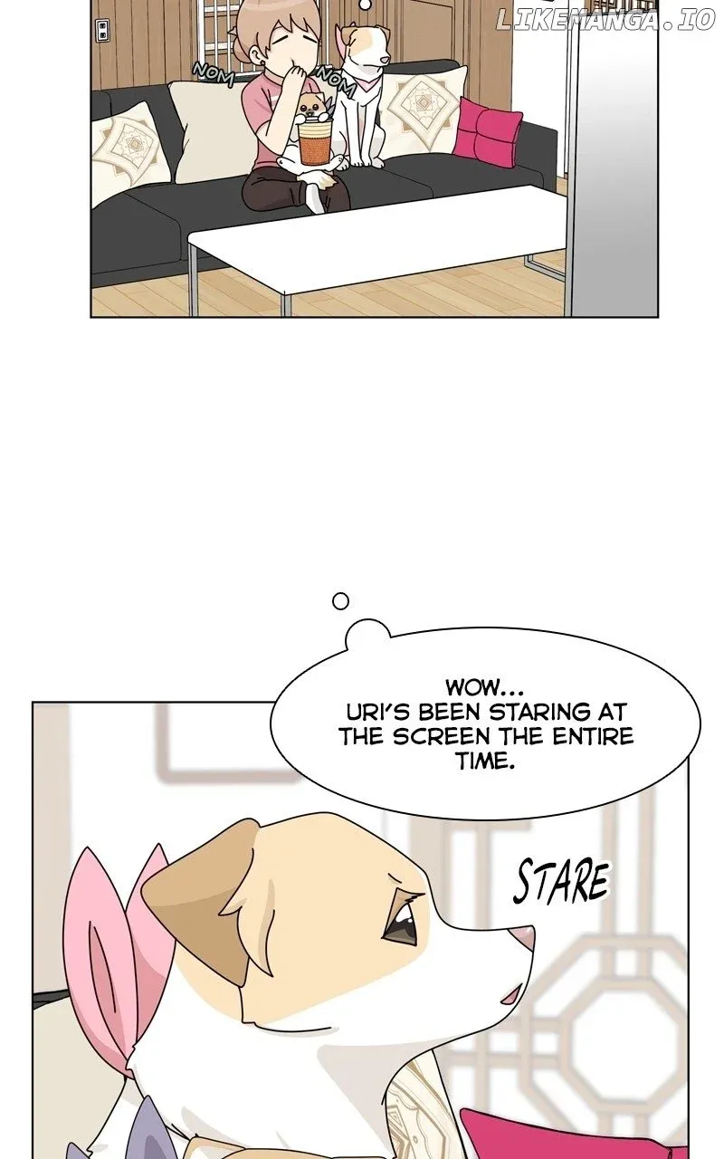 The Dog Diaries Chapter 181 page 2 - MangaKakalot