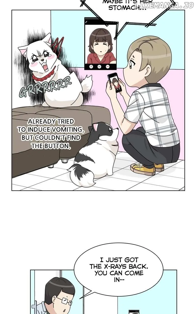 The Dog Diaries Chapter 184 page 34 - MangaNato