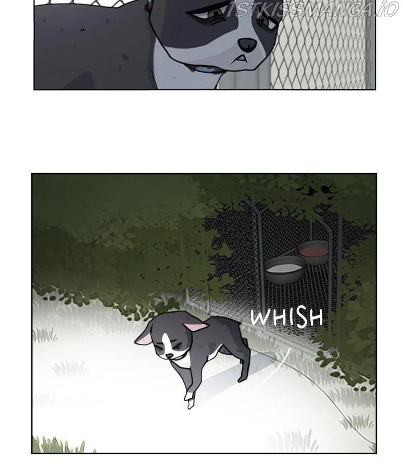 The Dog Diaries Chapter 20 page 6 - MangaKakalot