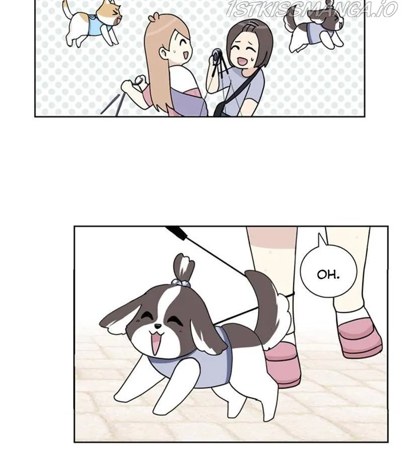 The Dog Diaries Chapter 22 page 71 - MangaKakalot