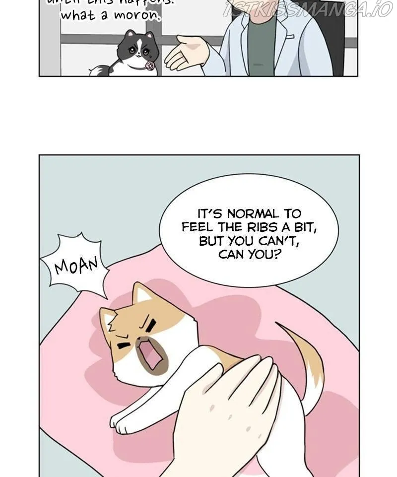 The Dog Diaries Chapter 24 page 10 - MangaKakalot