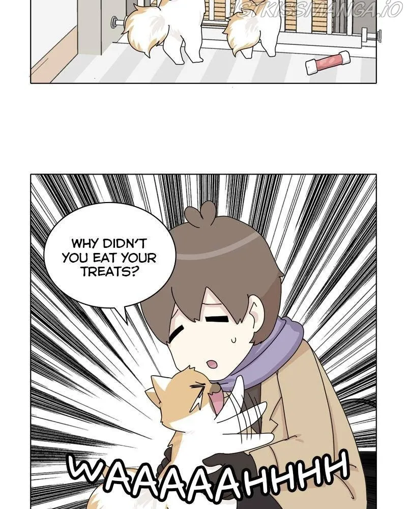 The Dog Diaries Chapter 37 page 66 - MangaKakalot