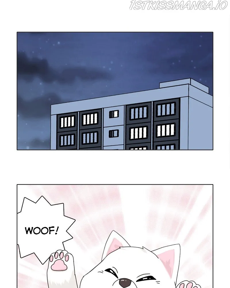 The Dog Diaries Chapter 49 page 9 - MangaKakalot