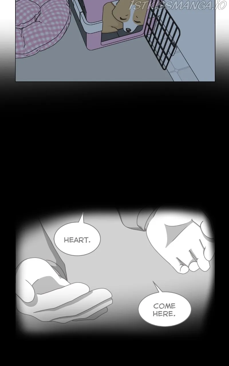 The Dog Diaries Chapter 82 page 29 - MangaKakalot