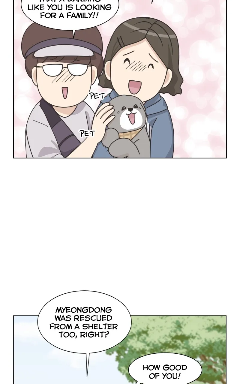 The Dog Diaries Chapter 88 page 22 - MangaKakalot