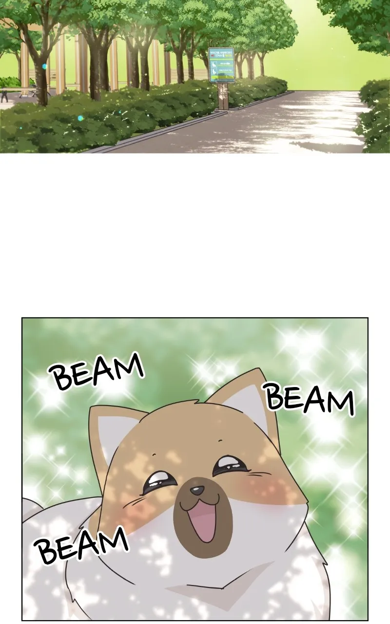 The Dog Diaries Chapter 88 page 9 - MangaKakalot