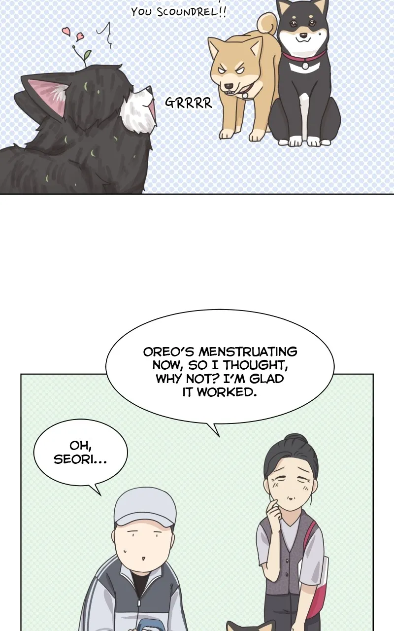 The Dog Diaries Chapter 92 page 42 - MangaKakalot