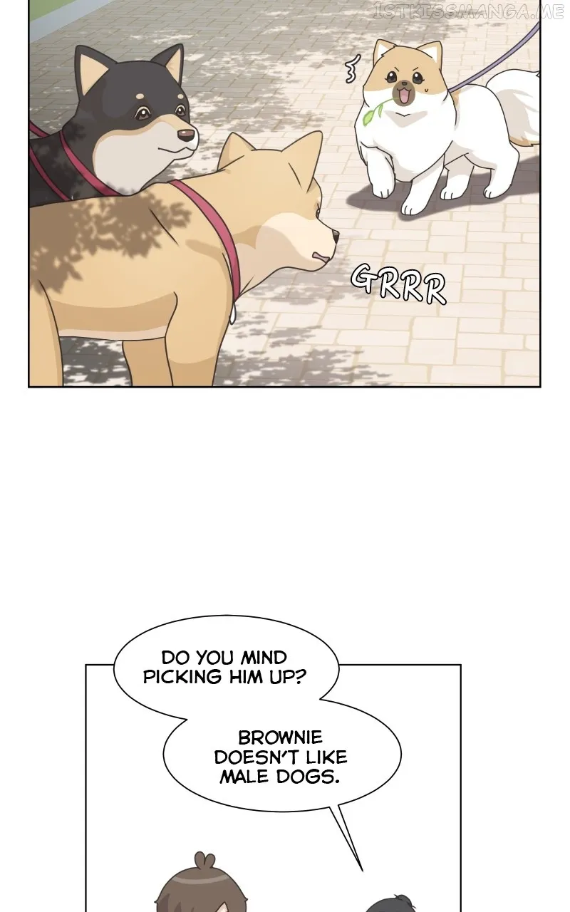 The Dog Diaries Chapter 93 page 12 - MangaKakalot