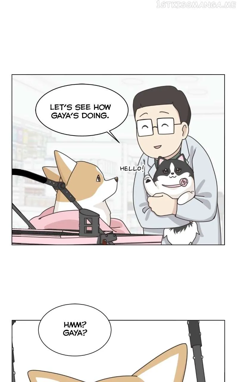 The Dog Diaries Chapter 94 page 30 - MangaKakalot