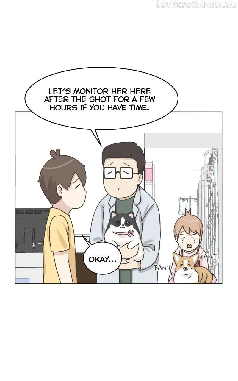 The Dog Diaries Chapter 94 page 35 - MangaKakalot