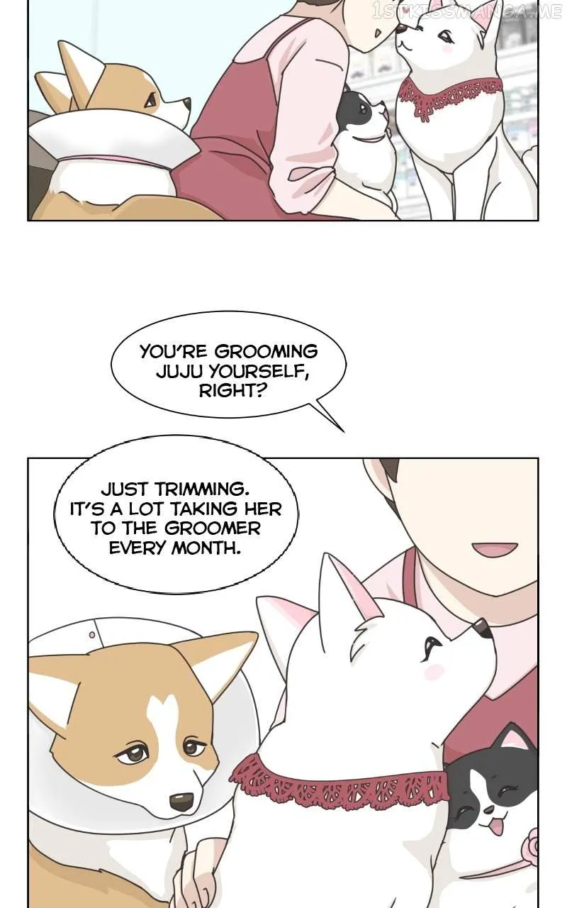 The Dog Diaries Chapter 95 page 9 - MangaKakalot