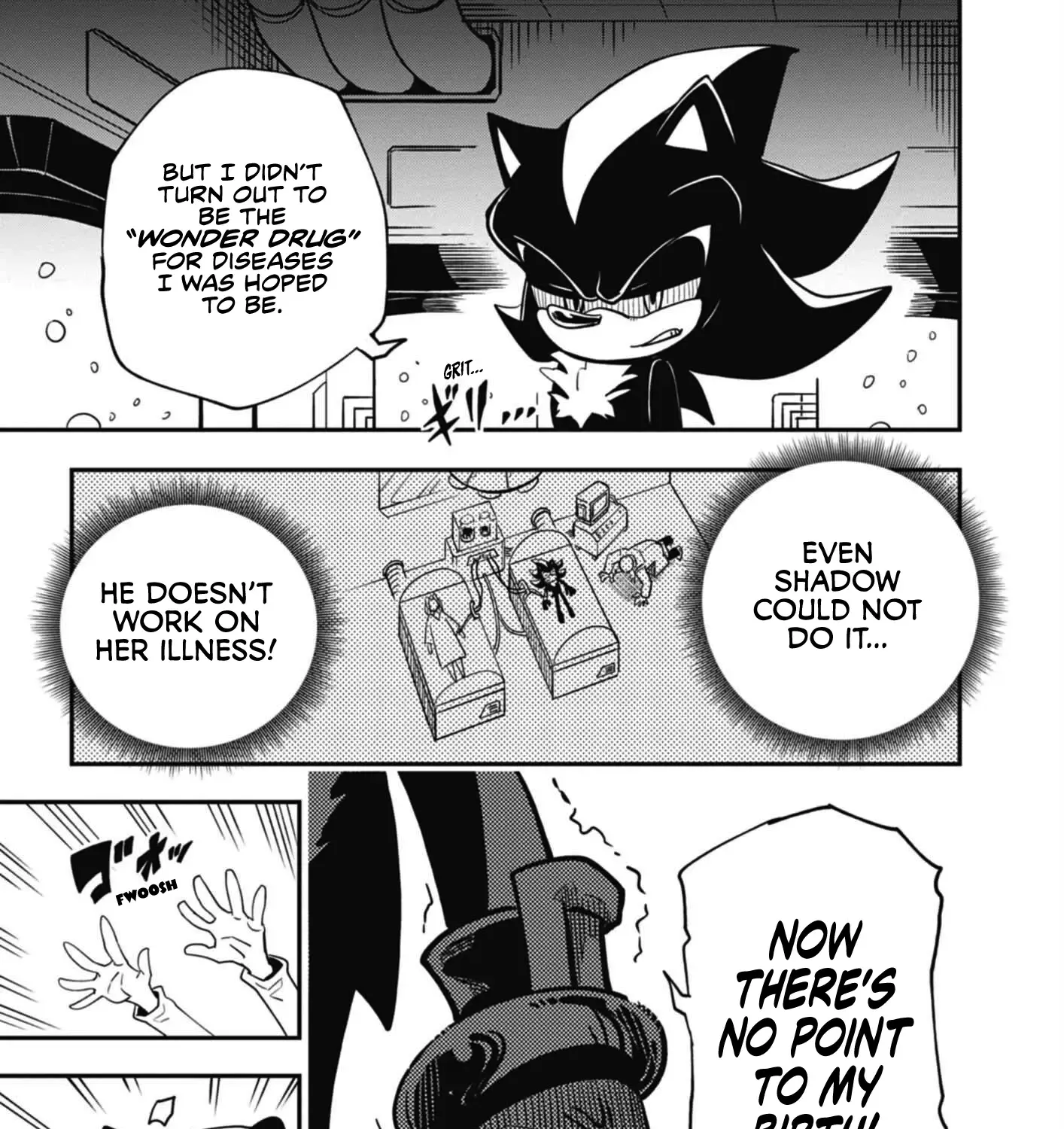 The Jet Black Hedgehog: Shadow The Hedgehog Chapter 1 page 13 - MangaKakalot