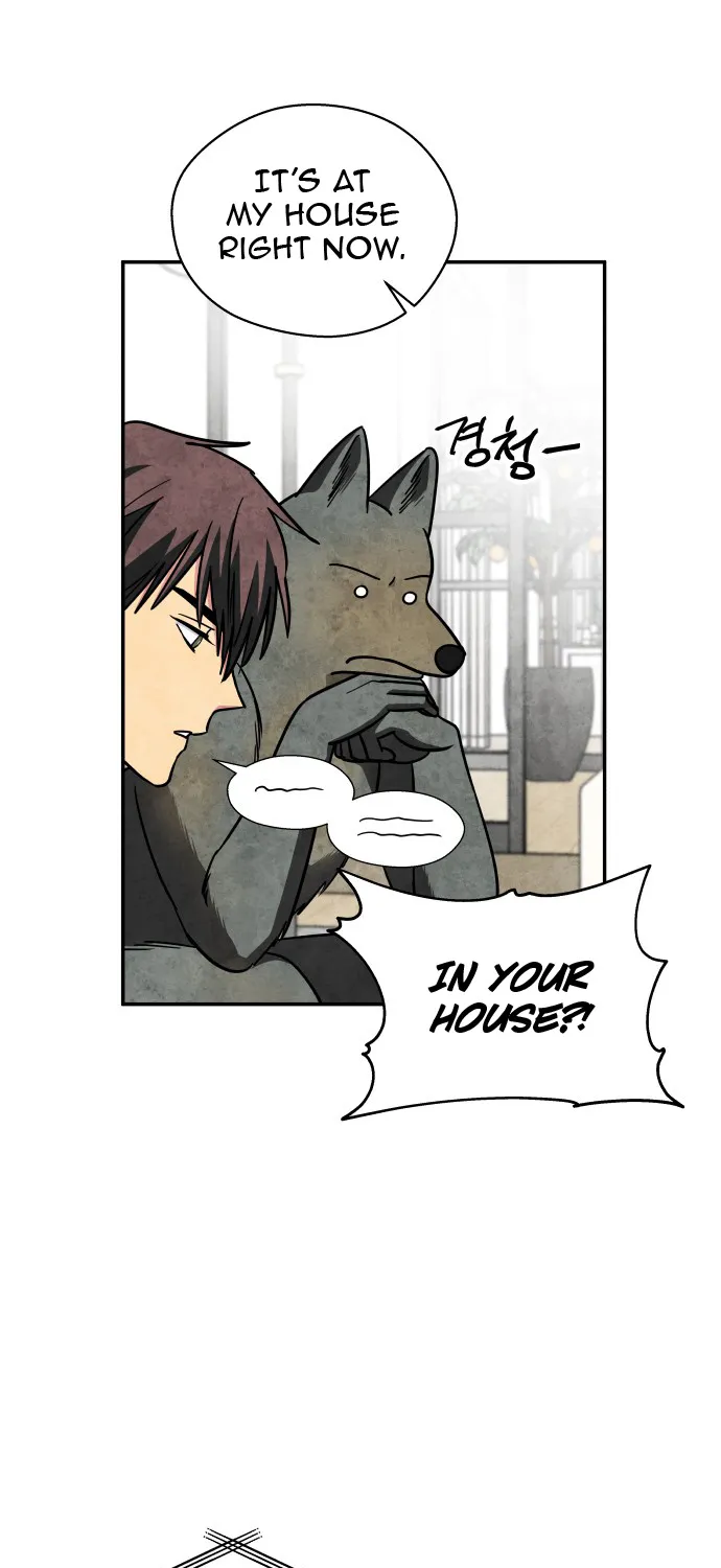 The Little Red Riding Hood Chapter 37 page 6 - MangaKakalot