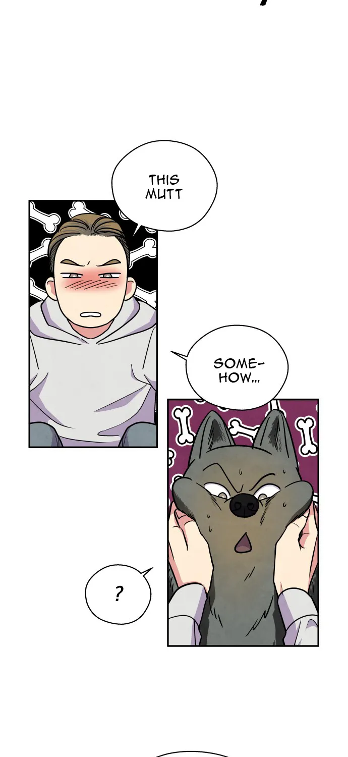 The Little Red Riding Hood Chapter 38 page 19 - MangaKakalot