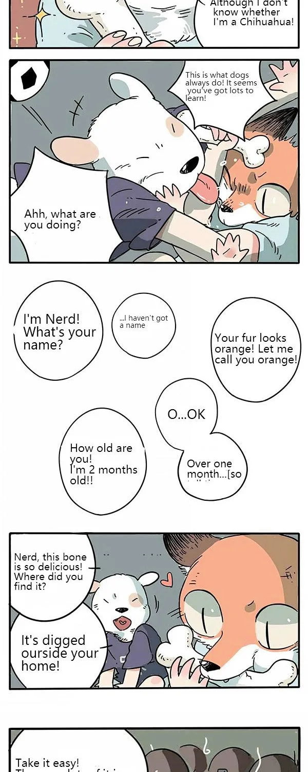 The Loser-fox orange - Page 5